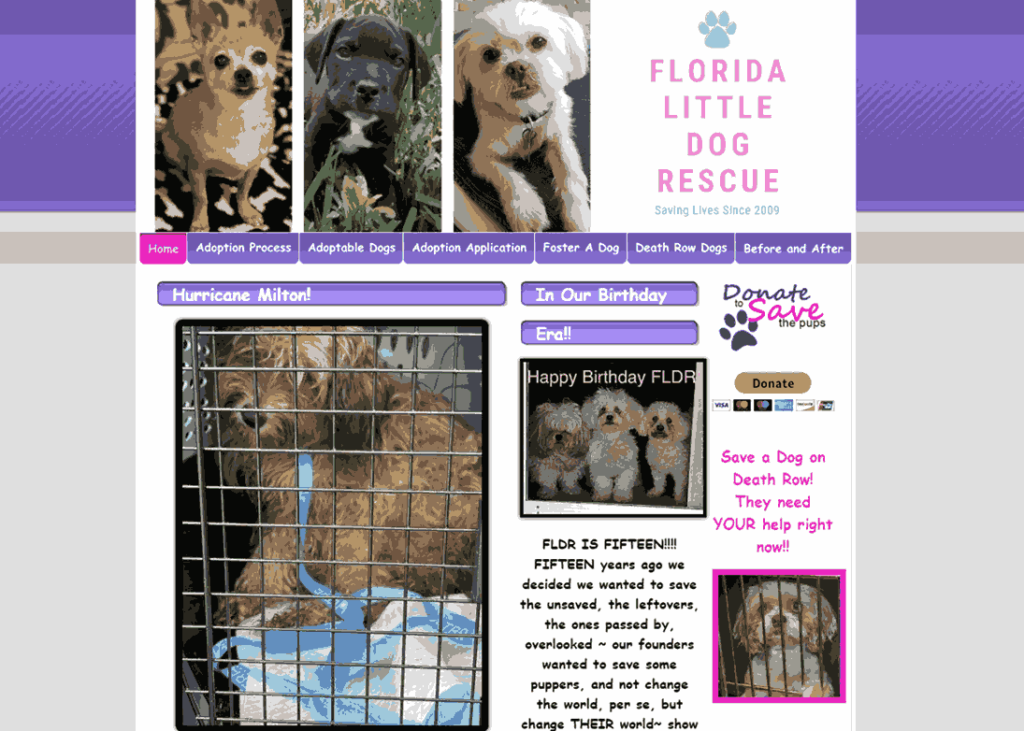 Florida Little Dog Rescue