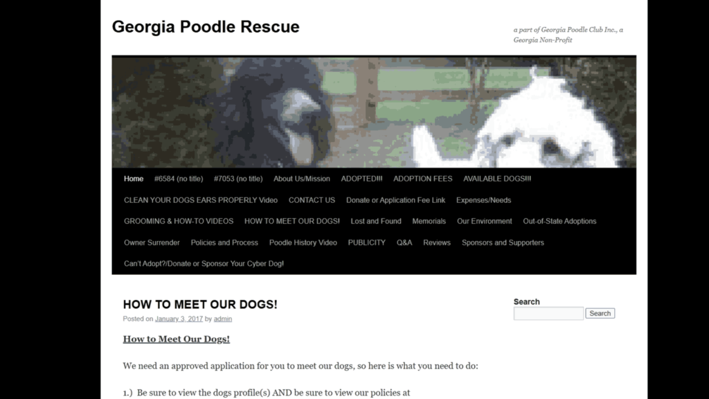 Georgia Poodle Rescue