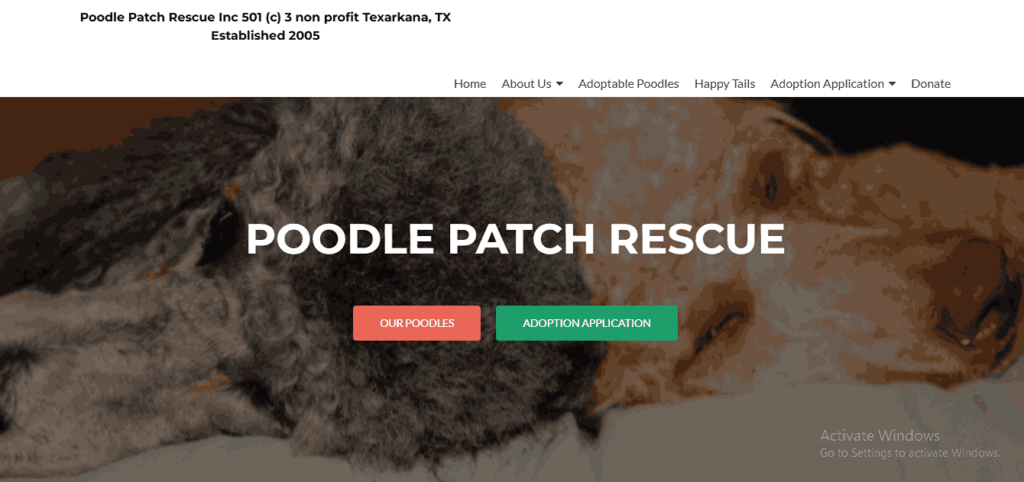 Poodle Patch Rescue