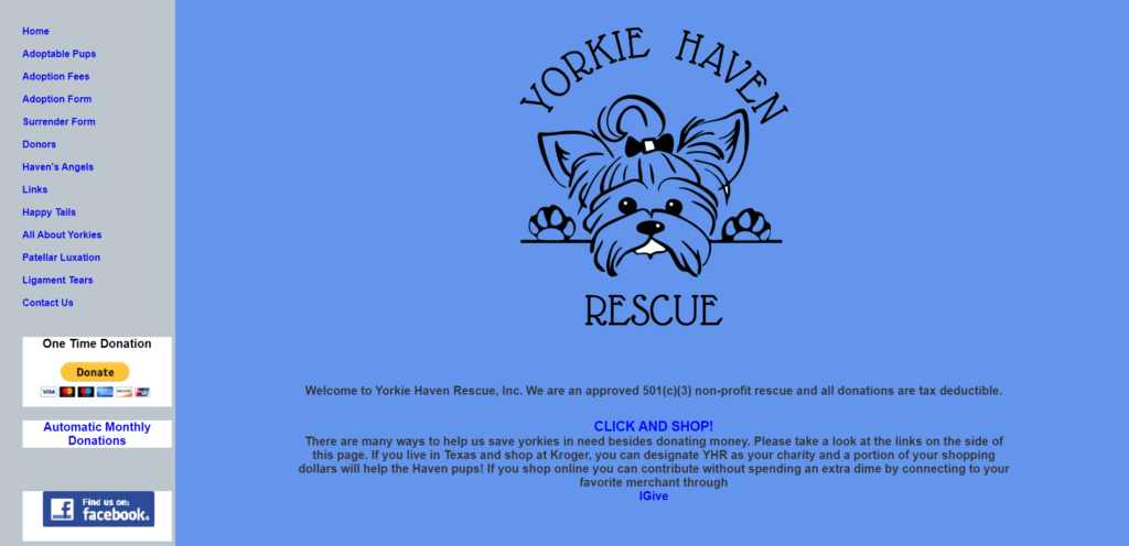 Yorkie Haven Rescue